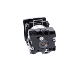 Slika Grebenasti prekidač izborni 2P 45° 12A za fi22mm Schneider