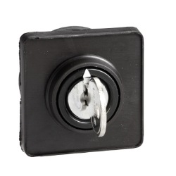 Slika Element glava Canalis izbornog tastera sa ključem 45x45mm Schneider