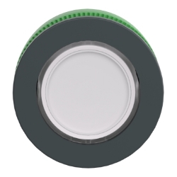 Slika Glava tastera bela ugradna flush caps za legend insertion Schneider