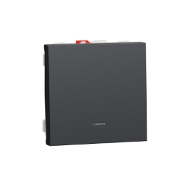 Slika Taster lokator 10A 2M antracit Schneider