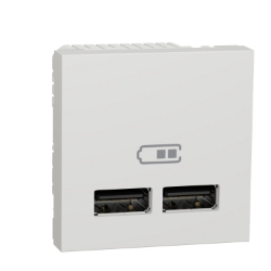 Slika Utičnica napajanja 2 USB 2.0 2M bela Schneider