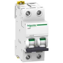 Slika Osigurač automatski 2P 2A D kriva IC60N 50kA Acti9 Schneider